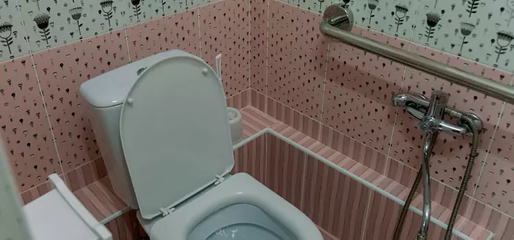 Meeting Diverse Needs With Accessible Restroom Solutions in Lafayette, LA